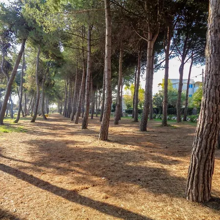 Cerrano-5 By Interhome Apartment Silvi Paese